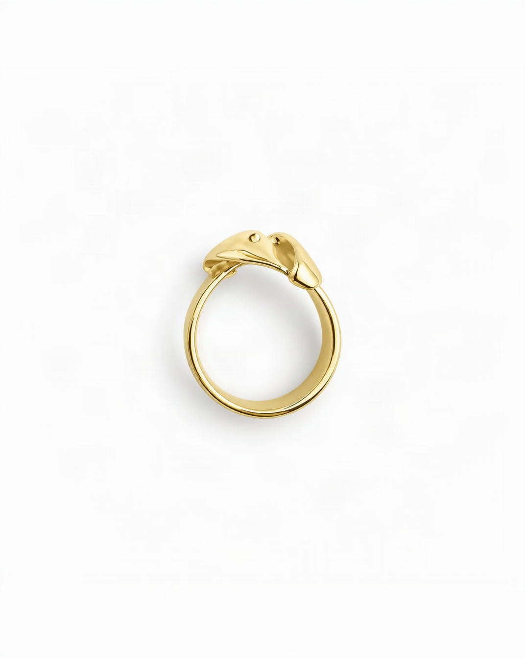 Knot Ring